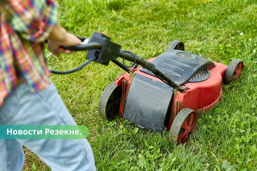 Резекне: полиция напоминает, что траву нужно косить регулярно.