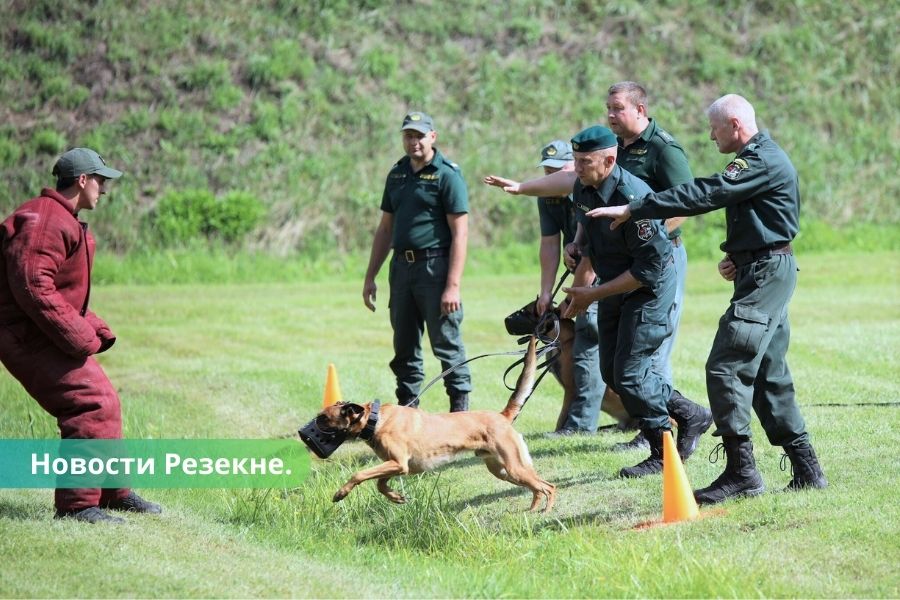 Резекне: прошли XVI международные соревнования кинологов по биатлону.