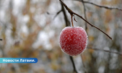 На следующей неделе в Латвии похолодает. Что нас ждет?