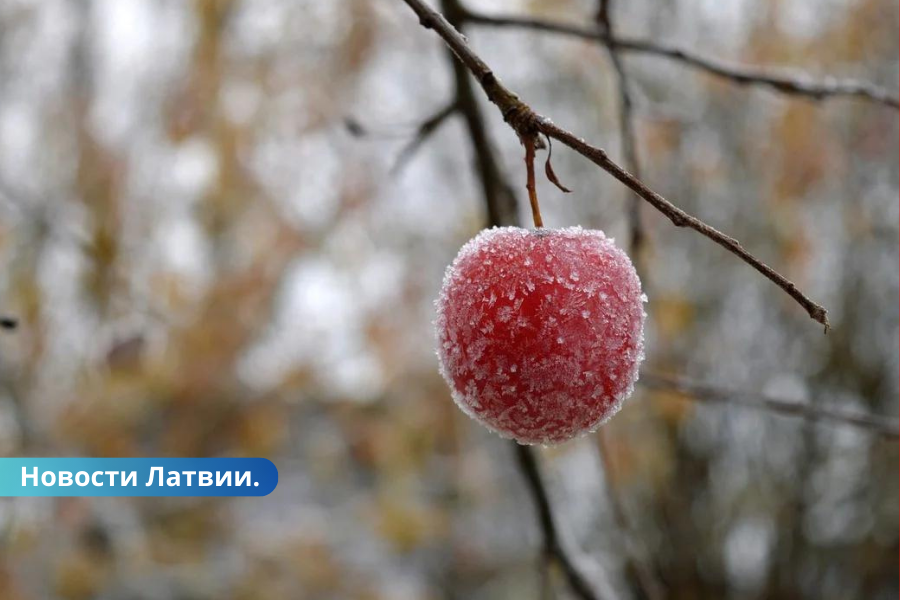 На следующей неделе в Латвии похолодает. Что нас ждет?