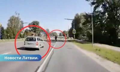 ВИДЕО: Пенсионер сбил троих мальчиков на пешеходном переходе в Елгаве.