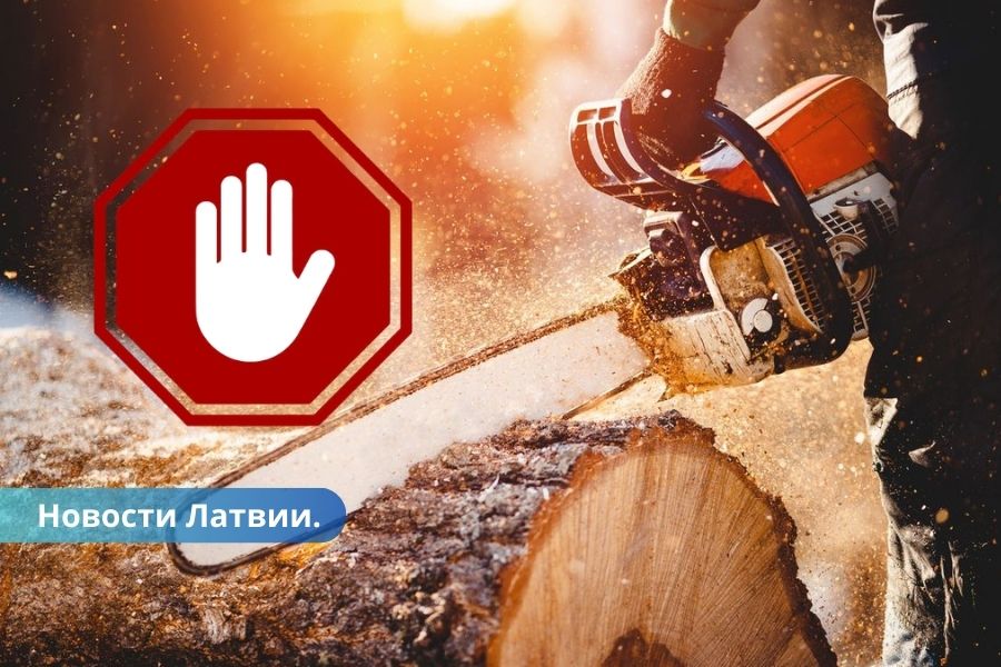 Новый норматив ЕС лишит работы несколько тысяч работников отрасли деревообработки.