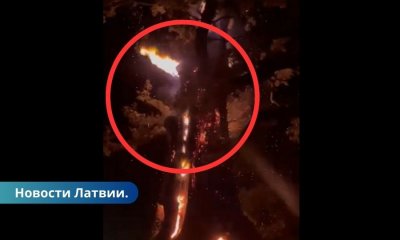 ВИДЕО ⟩ В Валмиерском крае молния ударила в вековой дуб.