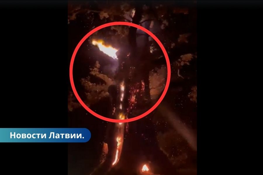 ВИДЕО ⟩ В Валмиерском крае молния ударила в вековой дуб.