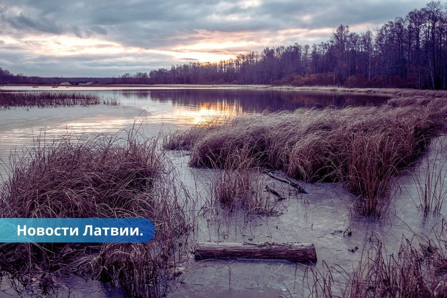 В конце этой неделе ожидаются первые заморозки.