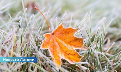 В ночь на пятницу в Латвии температура воздуха опустится ниже нуля. Сколько градусов?