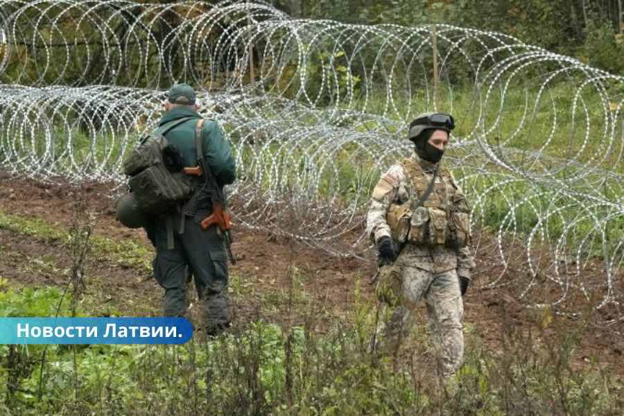 В Латгале нелегальный мигрант пытался отобрать у пограничника оружие.