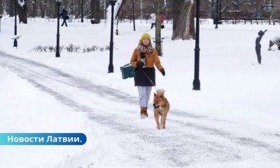 Какой будет эта зима: прогноз синоптиков.