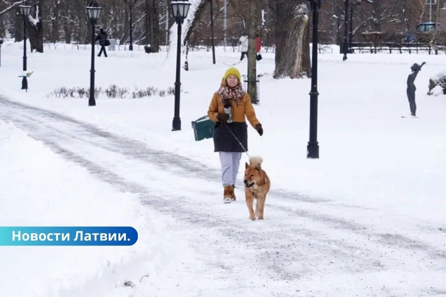 Какой будет эта зима: прогноз синоптиков.