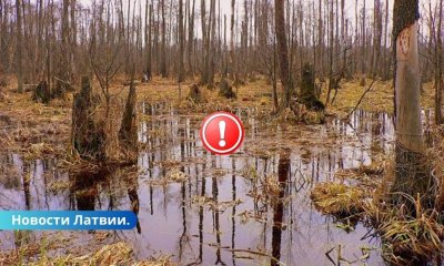 В Латгалии мужчина заблудился на болоте: его спасли сотрудники VUGD.