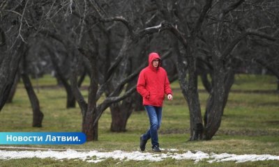 В Латвии установлен новый рекорд тепла для 26 ноября.