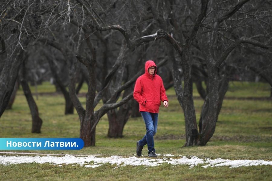 В Латвии установлен новый рекорд тепла для 26 ноября.