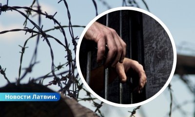 Мужчину приговорили к 5,5 годам тюрьмы за вождение в состоянии наркотического опьянения.