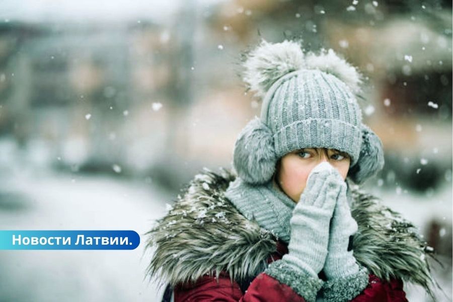 До -20 градусов! На этой и на следующей неделе ожидаются холода.