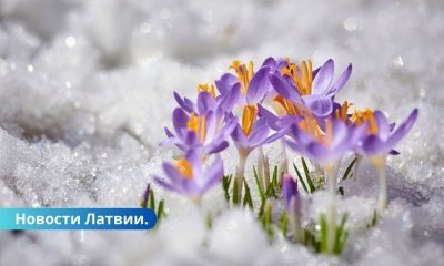 Ночью заморозки, днем — грозы и сильный ветер: прогноз погоды на 2 мая.