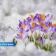 Ночью заморозки, днем — грозы и сильный ветер: прогноз погоды на 2 мая.