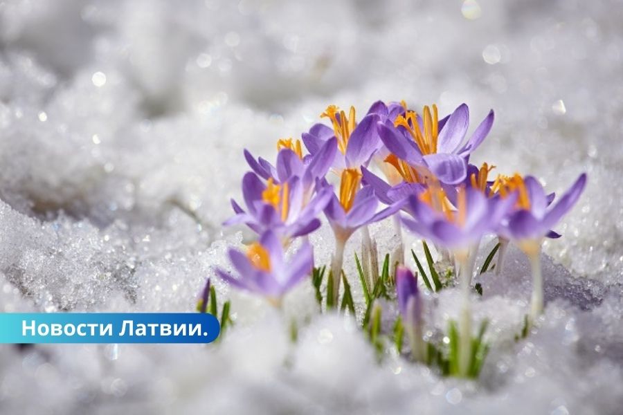 Ночью заморозки, днем — грозы и сильный ветер: прогноз погоды на 2 мая.