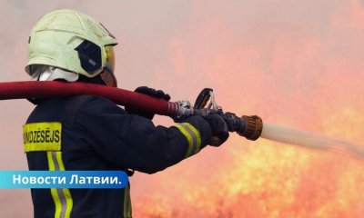 В Латгалии пожар уничтожил ферму, автомобили и домашних животных.