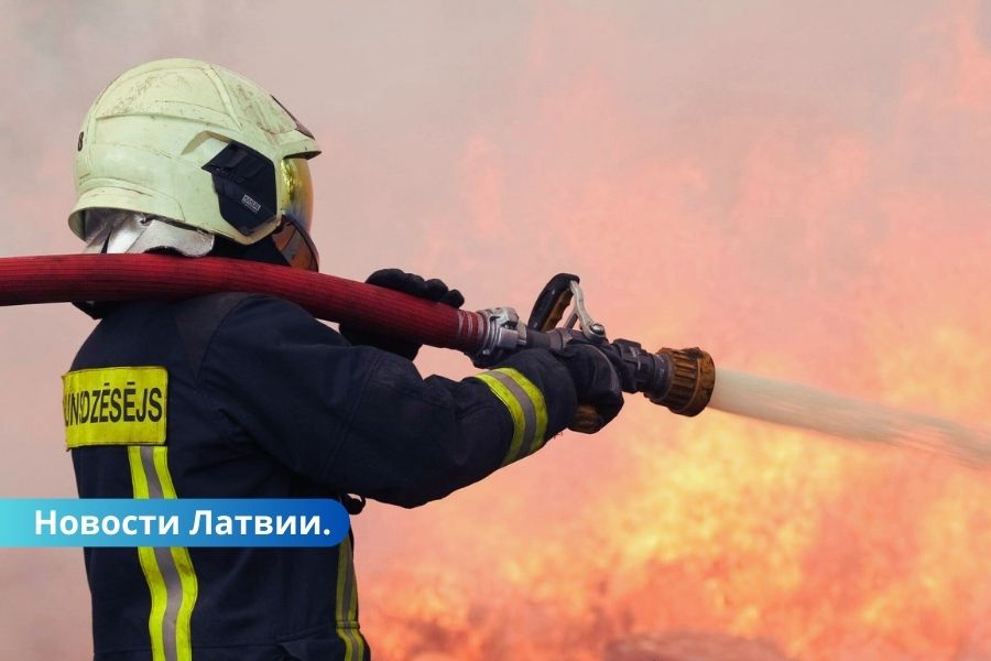 В Латгалии пожар уничтожил ферму, автомобили и домашних животных.