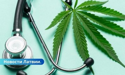 Коалиция Латвии не может договориться о легализации медицинской марихуаны.