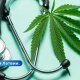 Коалиция Латвии не может договориться о легализации медицинской марихуаны.