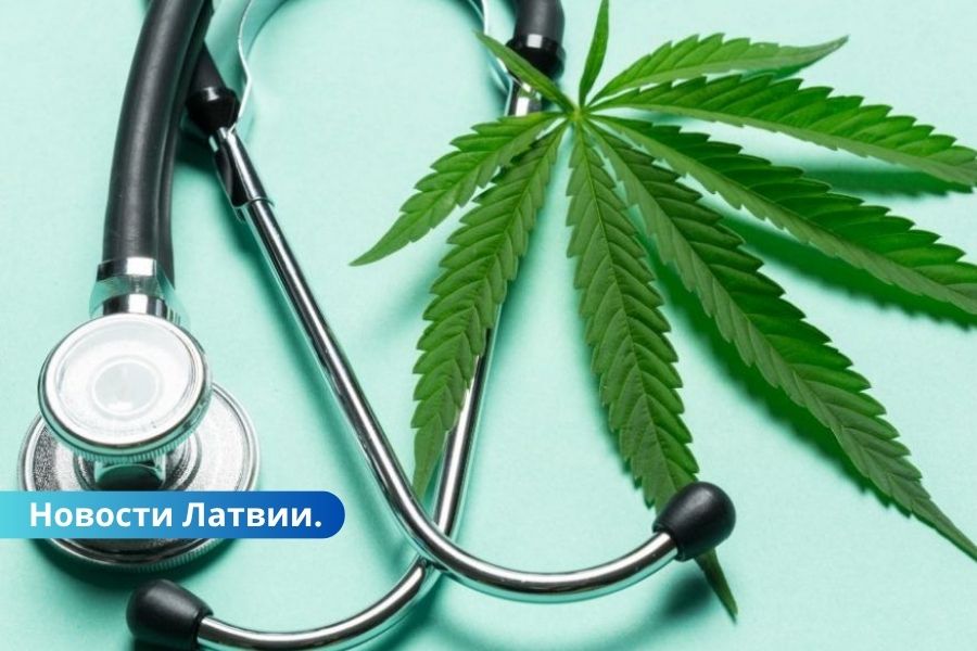 Коалиция Латвии не может договориться о легализации медицинской марихуаны.