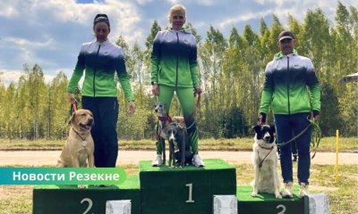 В Резекненском крае прошёл "Весенний кубок" по аджилити с международным участием.