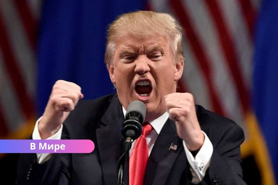 Трамп заявил, что Путин "сошел с ума".