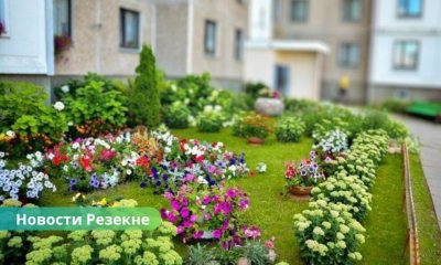 Конкурс "Самый ухоженный двор многоквартирного дома".