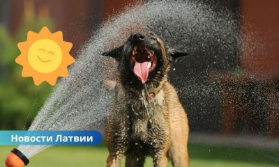 В Латвии ожидается солнечная и жаркая среда: до +29 градусов.