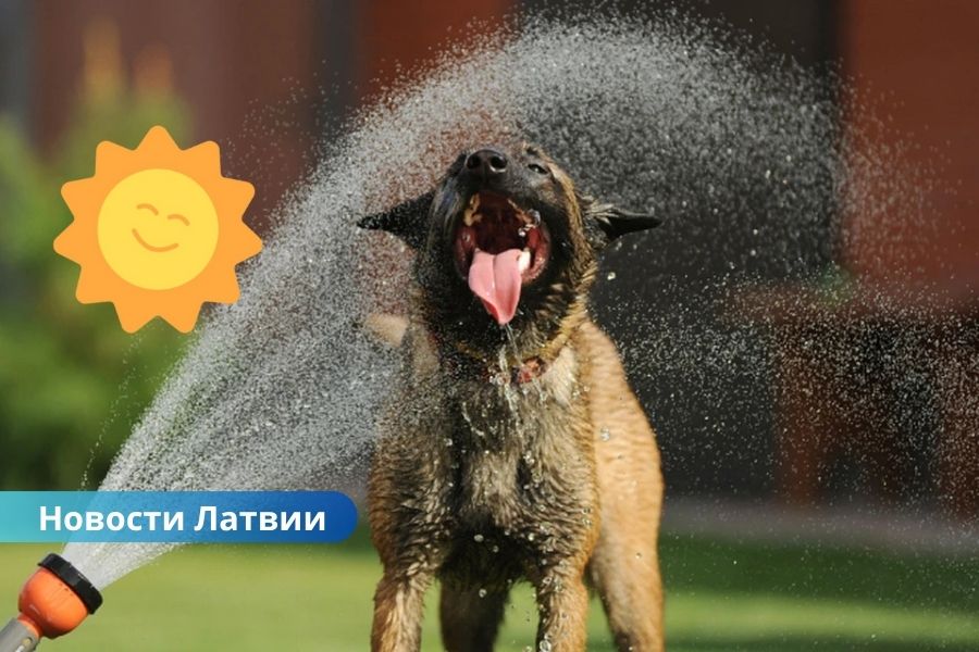 В Латвии ожидается солнечная и жаркая среда: до +29 градусов.