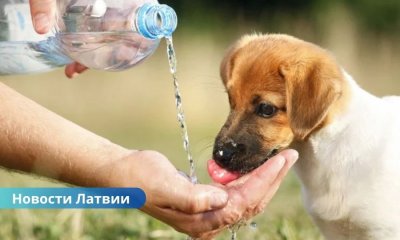 Четверг в Латвии станет самым жарким днем с прошлого лета.
