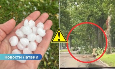 ФОТО ⟩ Стихия в Валмиерском крае: сильный ветер валил деревья, местами выпал град.