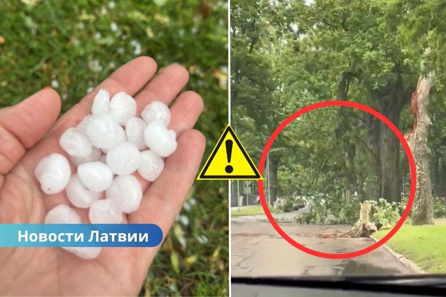 ФОТО ⟩ Стихия в Валмиерском крае: сильный ветер валил деревья, местами выпал град.