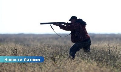 В Латвии стартовал охотничий сезон: внимание — на волков и оленей.