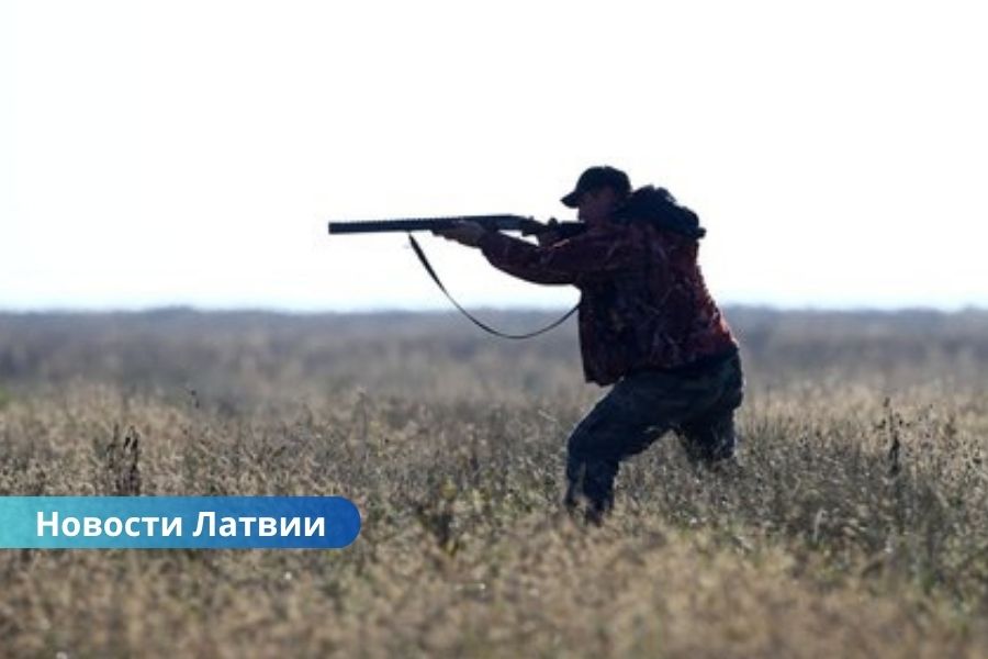 В Латвии стартовал охотничий сезон: внимание — на волков и оленей.