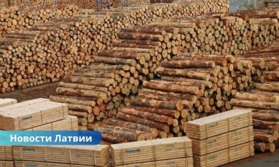 Почему Латвия по-прежнему экспортирует древесину, а не готовую продукцию?