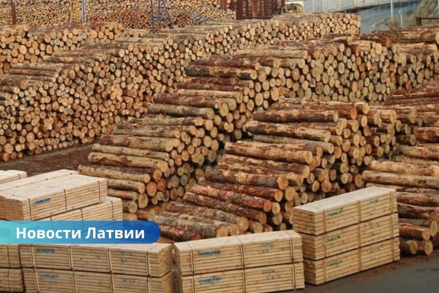 Почему Латвия по-прежнему экспортирует древесину, а не готовую продукцию?