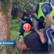 ВИДЕО ⟩ погоня и аварии: в Риге задержан пьяный водитель, сбежавший после столкновения с мотоциклом.