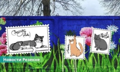 Резекне Нужна поддержка в реализации благотворительного проекта!