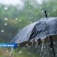 Латвию ожидает дождливое начало недели: возможны грозы и прохлада на побережье.