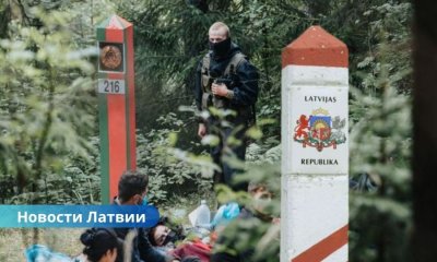 Попытки прорыва на границе: за день задержаны 53 нелегала из Беларуси.