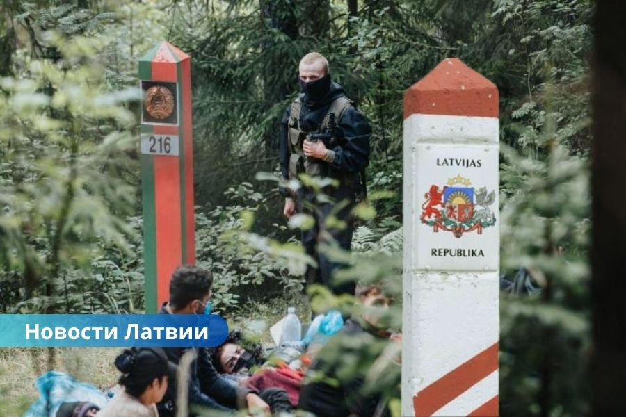 Попытки прорыва на границе: за день задержаны 53 нелегала из Беларуси.