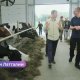 президент Латвии, Эдгар Ринкевич, сельское хозяйство Латвии, чрезвычайное положение, проливные дожди, наводнение в Латвии, урожай 2025, фермеры Латвии, страхование сельхозугодий, изменение климата. В Латгалии президент посетил затопленные поля и призвал к срочной помощи фермерам.