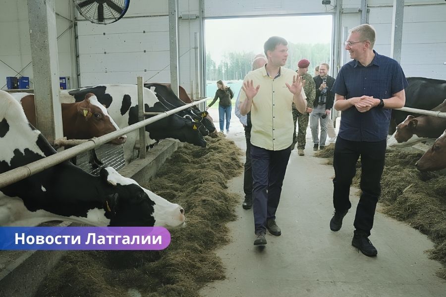 президент Латвии, Эдгар Ринкевич, сельское хозяйство Латвии, чрезвычайное положение, проливные дожди, наводнение в Латвии, урожай 2025, фермеры Латвии, страхование сельхозугодий, изменение климата. В Латгалии президент посетил затопленные поля и призвал к срочной помощи фермерам.