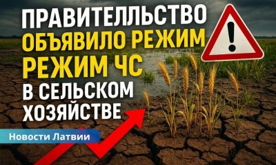 В Латвии объявлено чрезвычайное положение в сельском хозяйстве — фермеры терпят многомиллионные убытки.