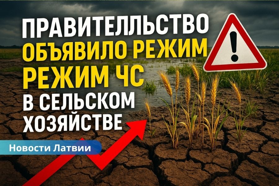 В Латвии объявлено чрезвычайное положение в сельском хозяйстве — фермеры терпят многомиллионные убытки.
