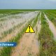 В Латвии объявлено чрезвычайное положение в сельском хозяйстве — фермеры терпят многомиллионные убытки.