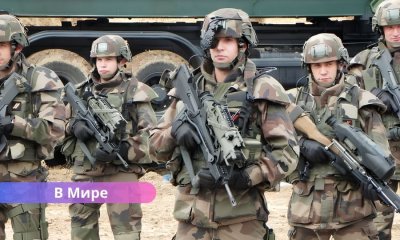 «Европа готовит войска для Украины: Британия и Франция готова направить солдат.
