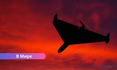 российский дрон Польша, падение дрона Люблин, российская провокация, военный дрон Shahed, Gerbera дрон, нарушение воздушного пространства Польша, новости Украины и Польши, военные дроны РФ. В Польше упал российский дрон с самоуничтожающейся боеголовкой: министерство обороны говорит о провокации.